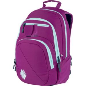 Nitro Stash 29 Rucksack Grateful Pink