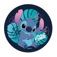 McNeill McAddy Disney-Stitch-003