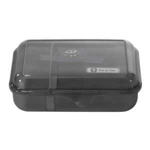 Step by Step Lunchbox Jumping Spider