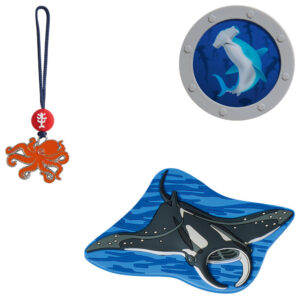 Step by Step MAGIC MAGS Manta Rio