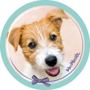 McNeill McAddy Haustiere Hund Grün