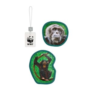 Step by Step MAGIC MAGS Monkeys