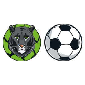 Schneiders Patches Panther/Soccerball