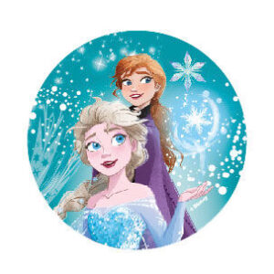 McNeill McAddy Disney-Frozen-010